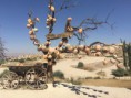 /album/nevsehir-trip/img-6299-jpg1/